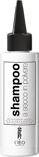 Dry shampoo _in dust – 36g